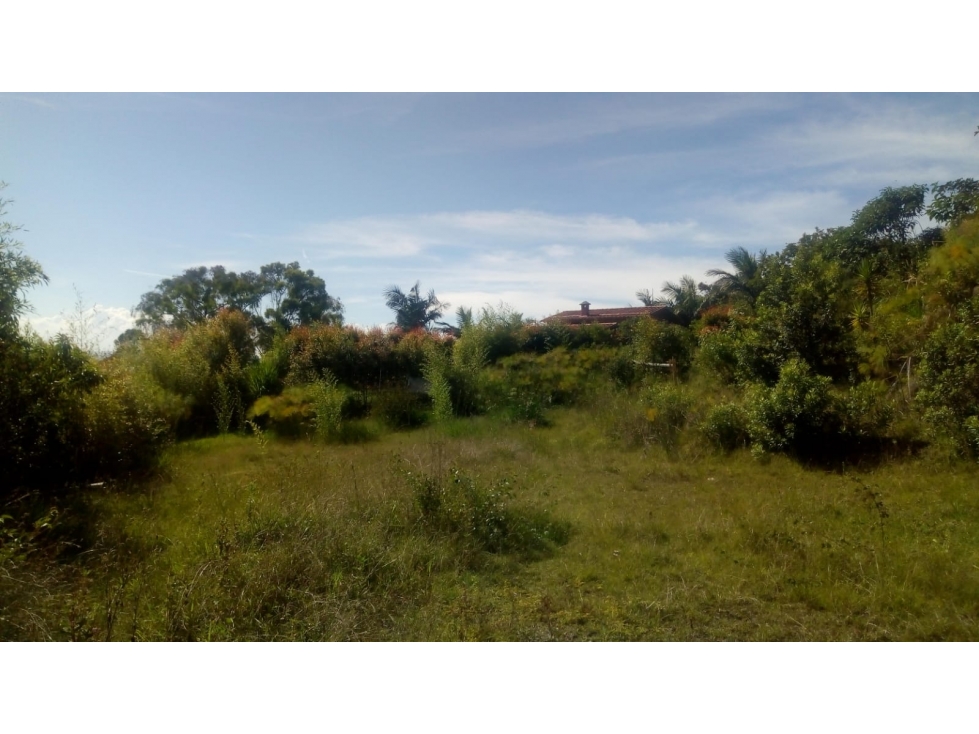 CON NACIMIENTO DE AGUA. Lote en el Carmen de Viboral- Vereda la Chapa — foto 5