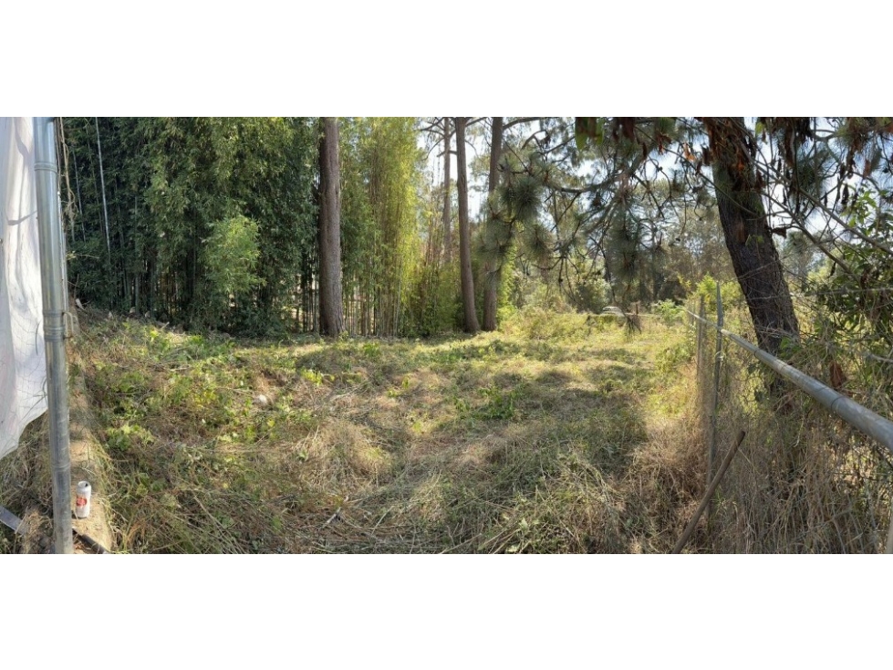 CASAS VIEJAS, TERRENO EN VENTA (1986) — foto 3