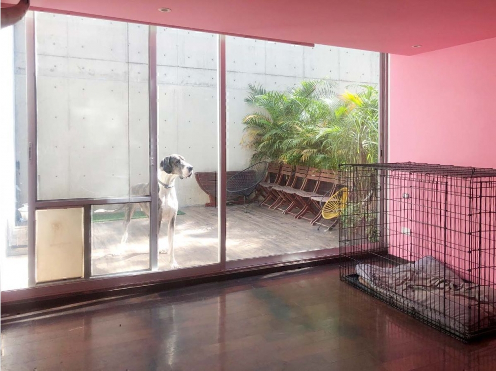 Excelente departamento de dos niveles en el corazón de Polanco.(1512) — foto 5