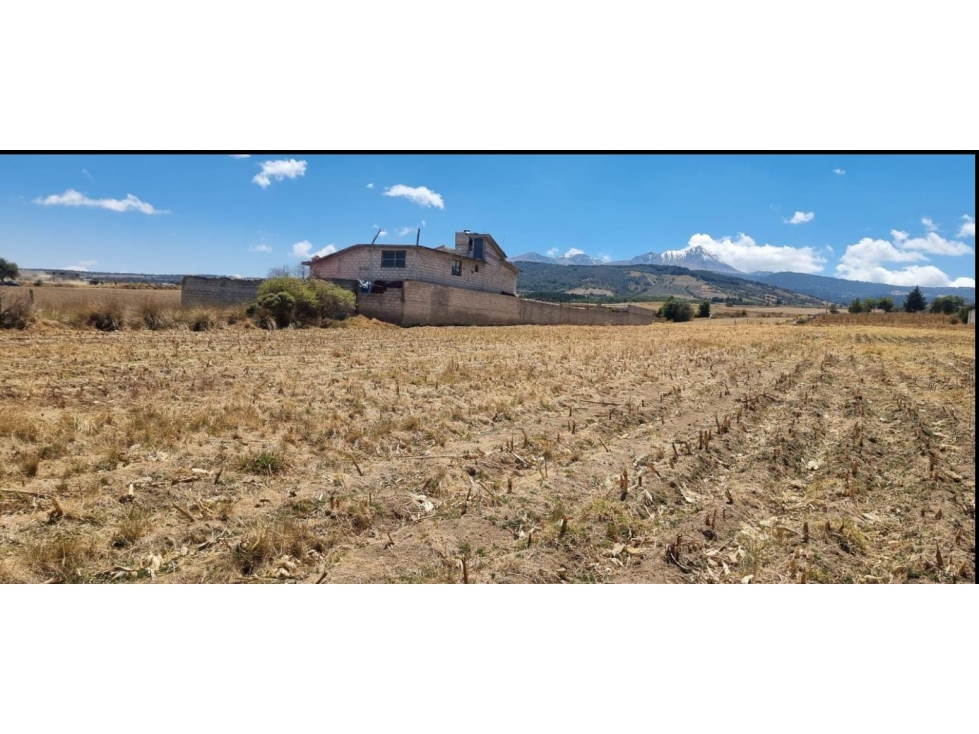 Zinacantepec. Terreno en venta (1989) - 6