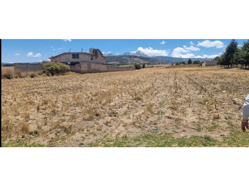 Zinacantepec. Terreno en venta (1989) - 5