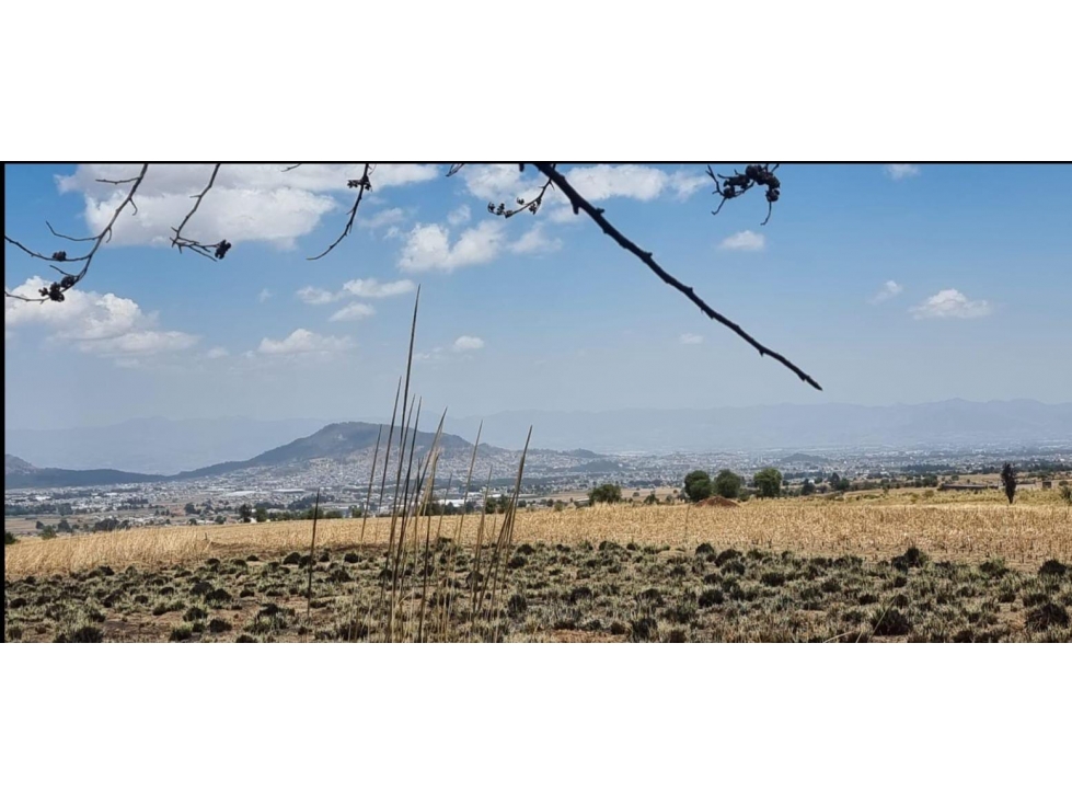 Zinacantepec. Terreno en venta (1989) - 2