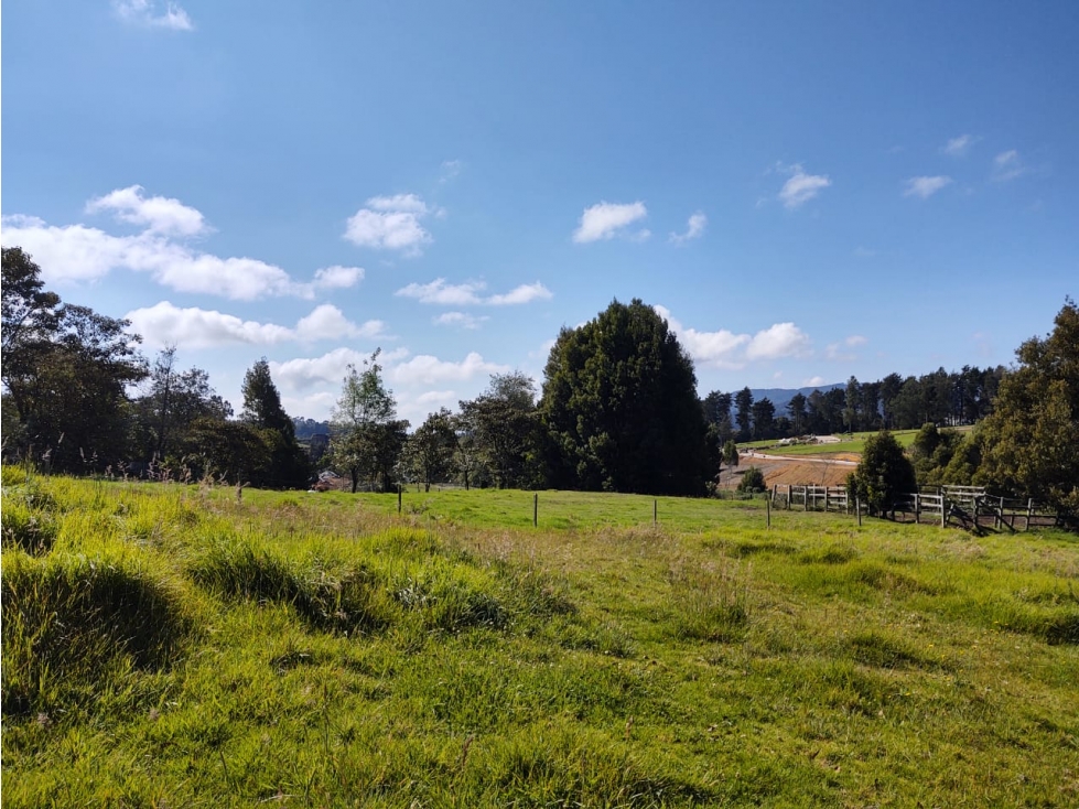Venta Lote Alto de las Palmas — foto 3
