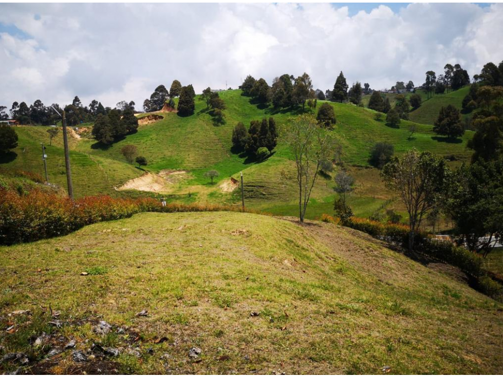 Venta Lote en San Pedro de los Milagros Antioquia — foto 2