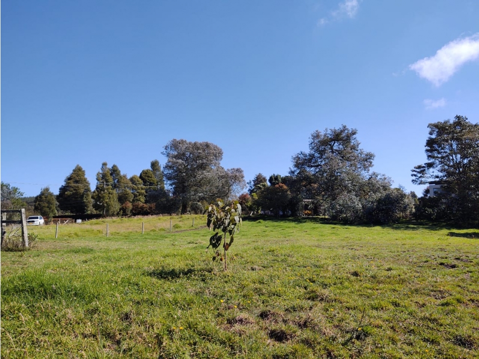 Venta Lote Alto de las Palmas — foto 5
