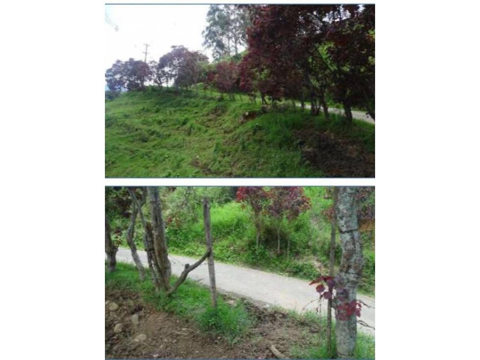 Venta Lote Copacabana Antioquia — foto 2