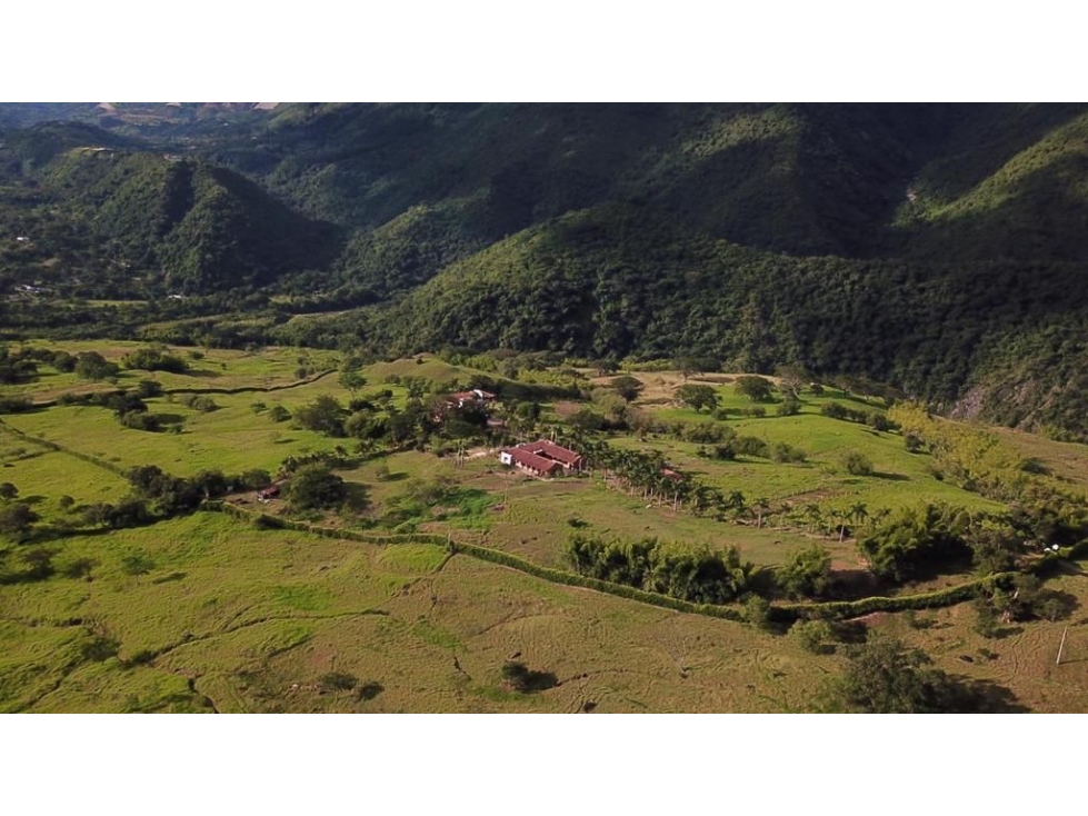 Venta Lote en Venecia Antioquia - 1