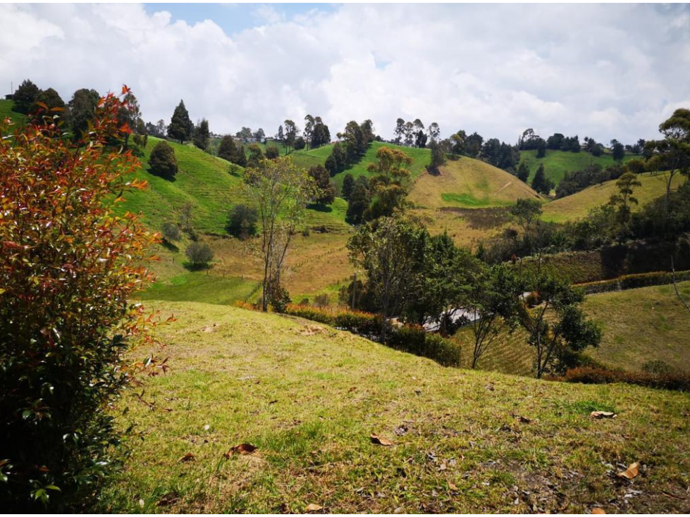 Venta Lote en San Pedro de los Milagros Antioquia — foto 3