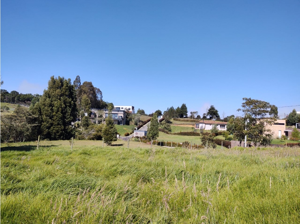 Venta Lote Alto de las Palmas — foto 2