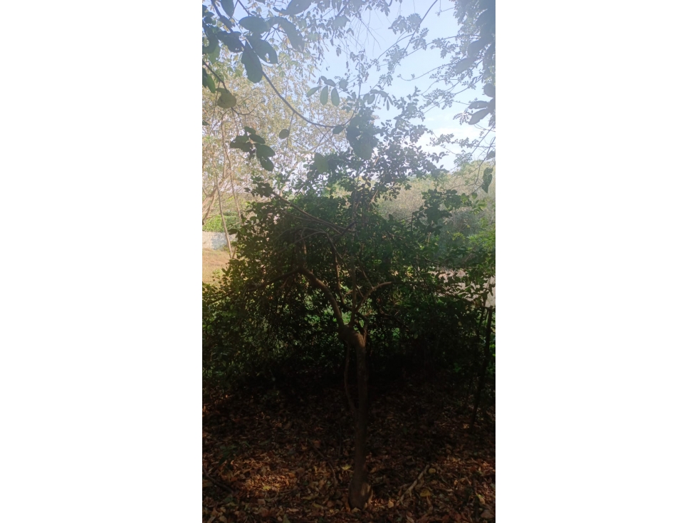Venta Lote Santa Fe de Antioquia - 3