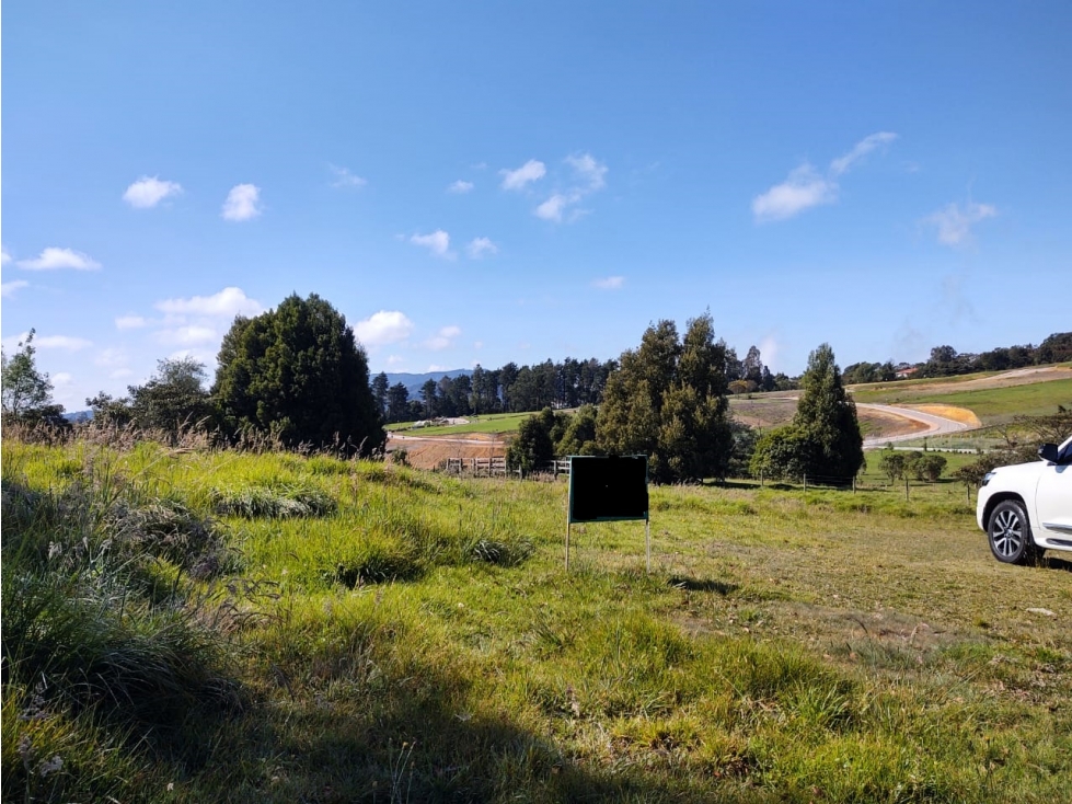 Venta Lote Alto de las Palmas — foto 4
