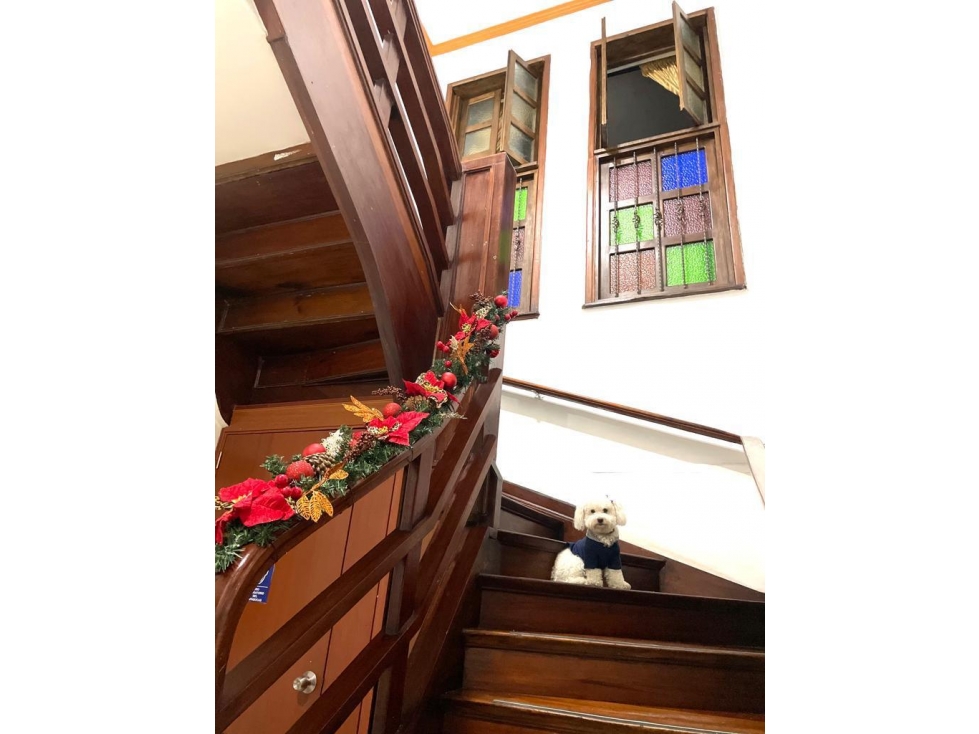 Venta Hostal Amoblado en Bogotá la Candelaria — foto 6