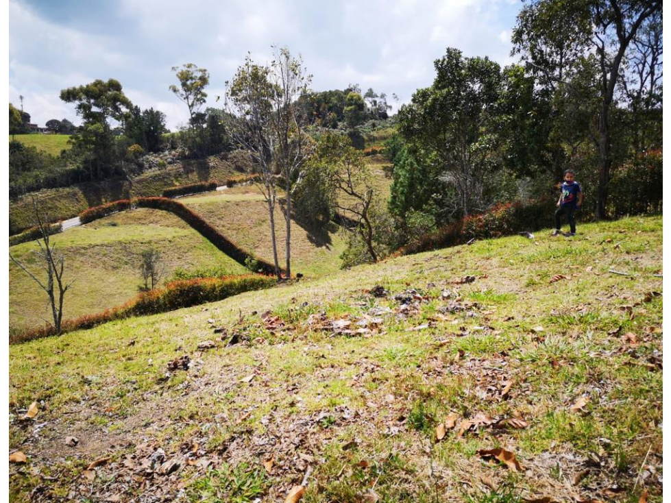Venta Lote en San Pedro de los Milagros Antioquia — foto 5
