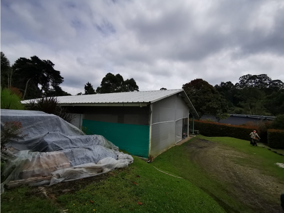 Venta Lote comercial para cultivo de flores vereda chachafruto — foto 3