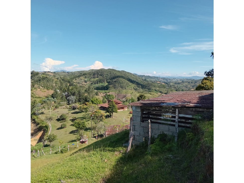 VENTA DE FINCA — foto 3