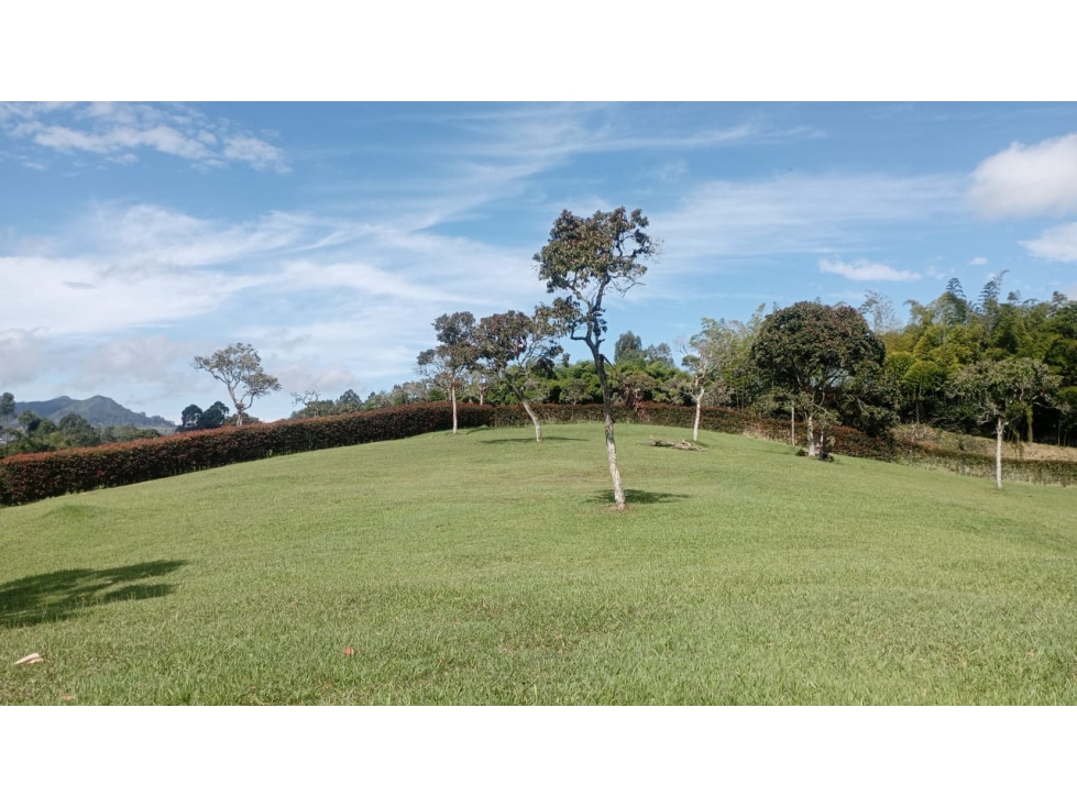 venta de lote llanogrande