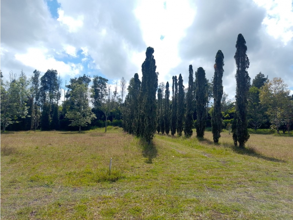 venta de lote llanogrande