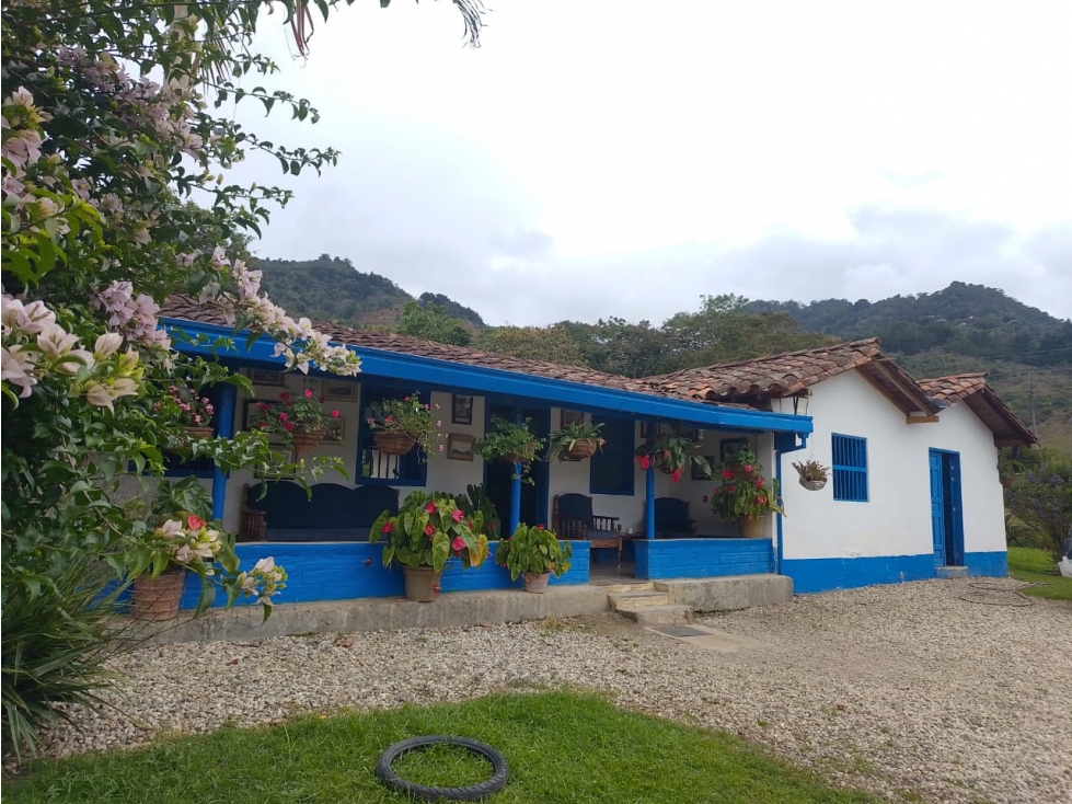 VENTA DE FINCA RIONEGRO