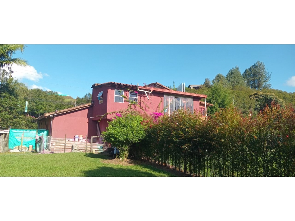 CASA LOTE COMERCIAL — foto 2
