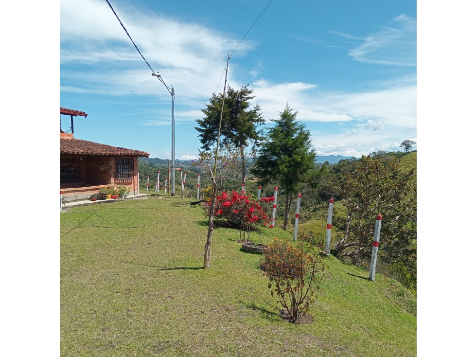 VENTA DE FINCA — foto 6