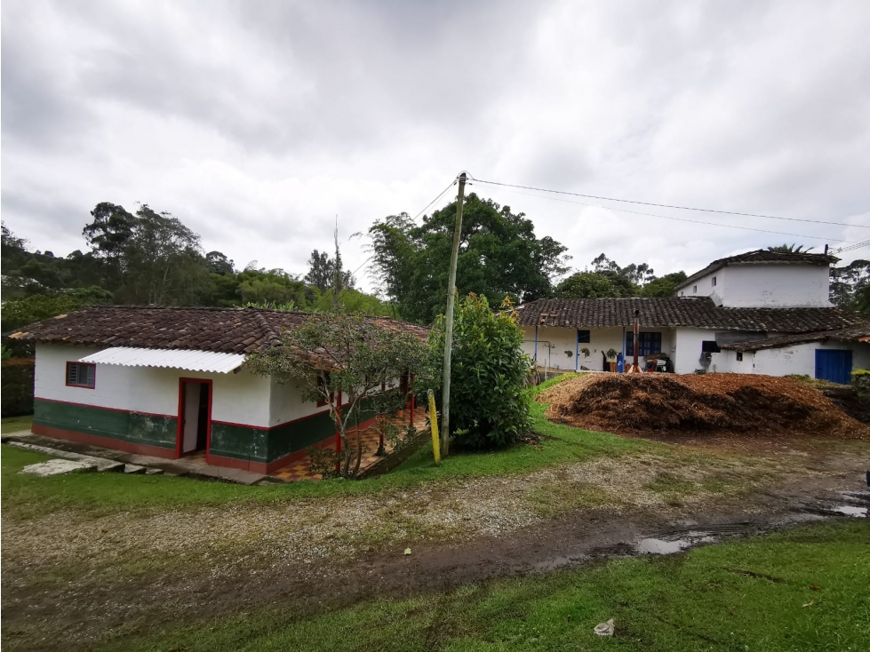 Venta Lote comercial para cultivo de flores vereda chachafruto — foto 4