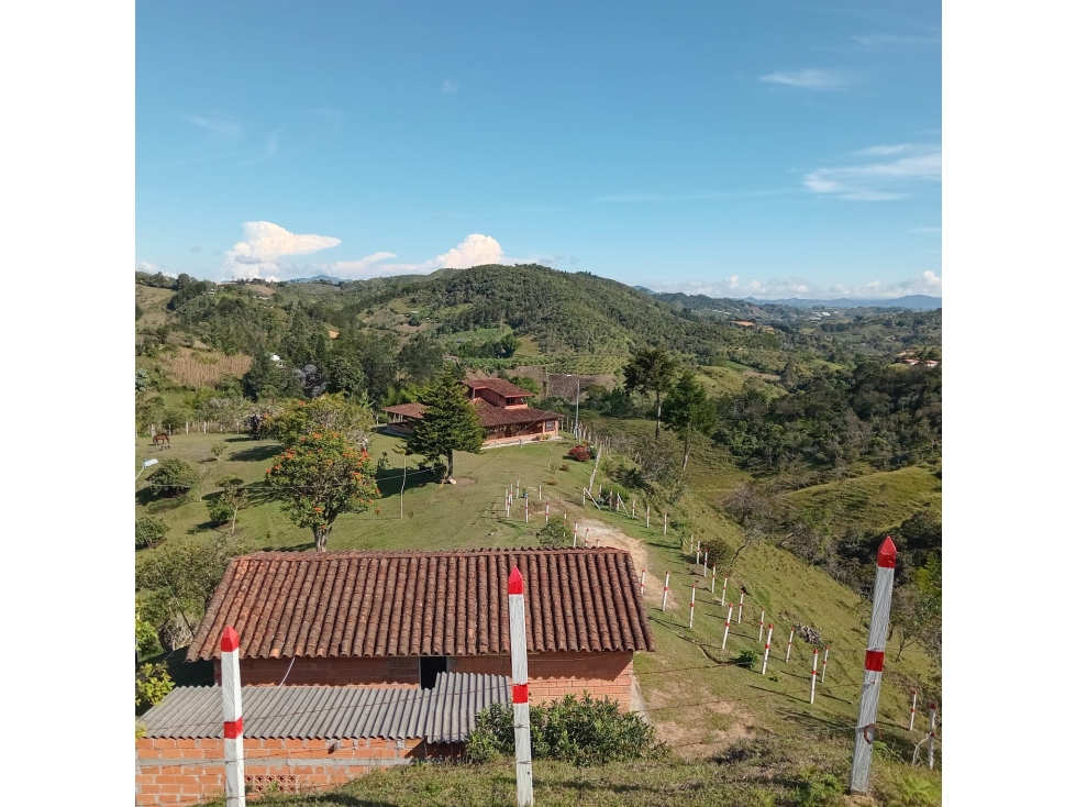 VENTA DE FINCA — foto 2