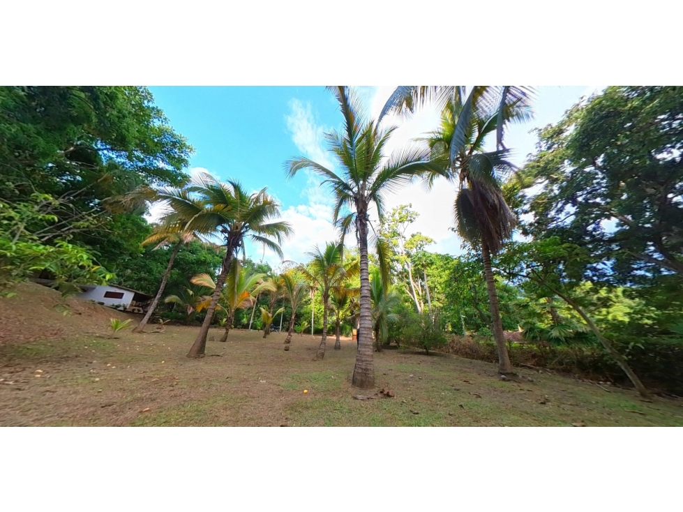 Venta de Finca  Campestre a puerta cerrada en Sopetran  Vereda Miranda — foto 5