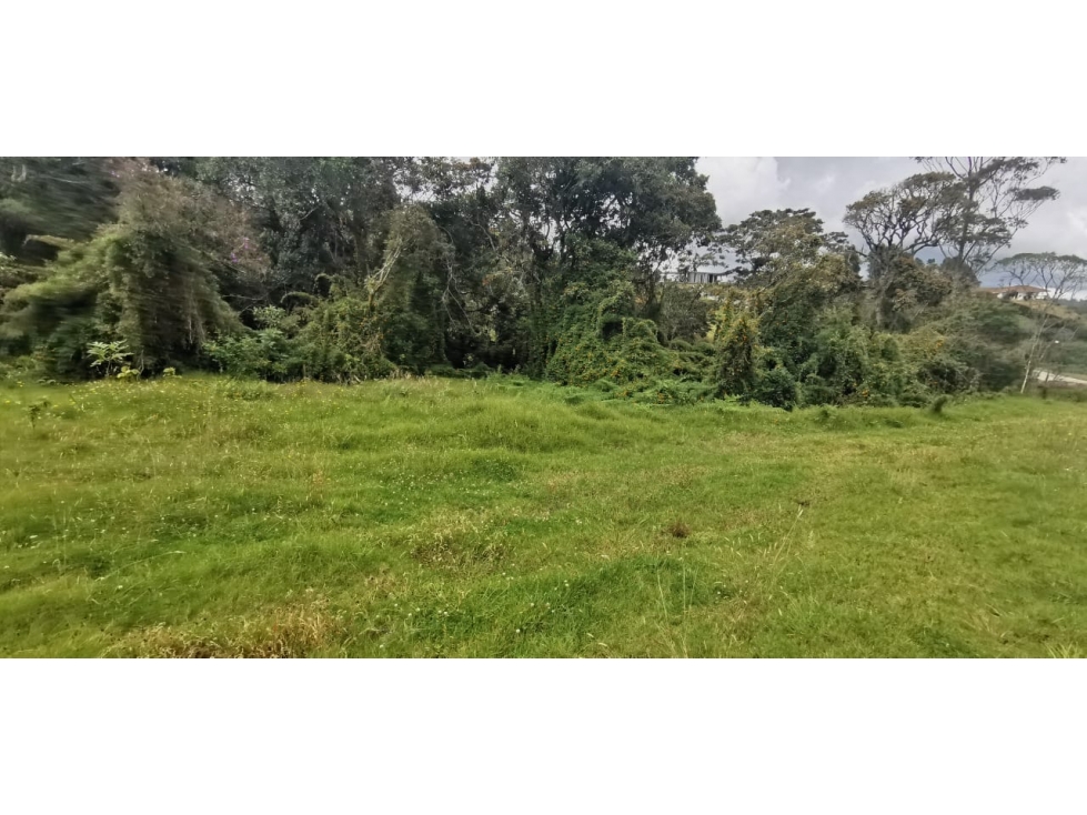 Lote Envigado alto de las palmas vereda la esperanza — foto 3