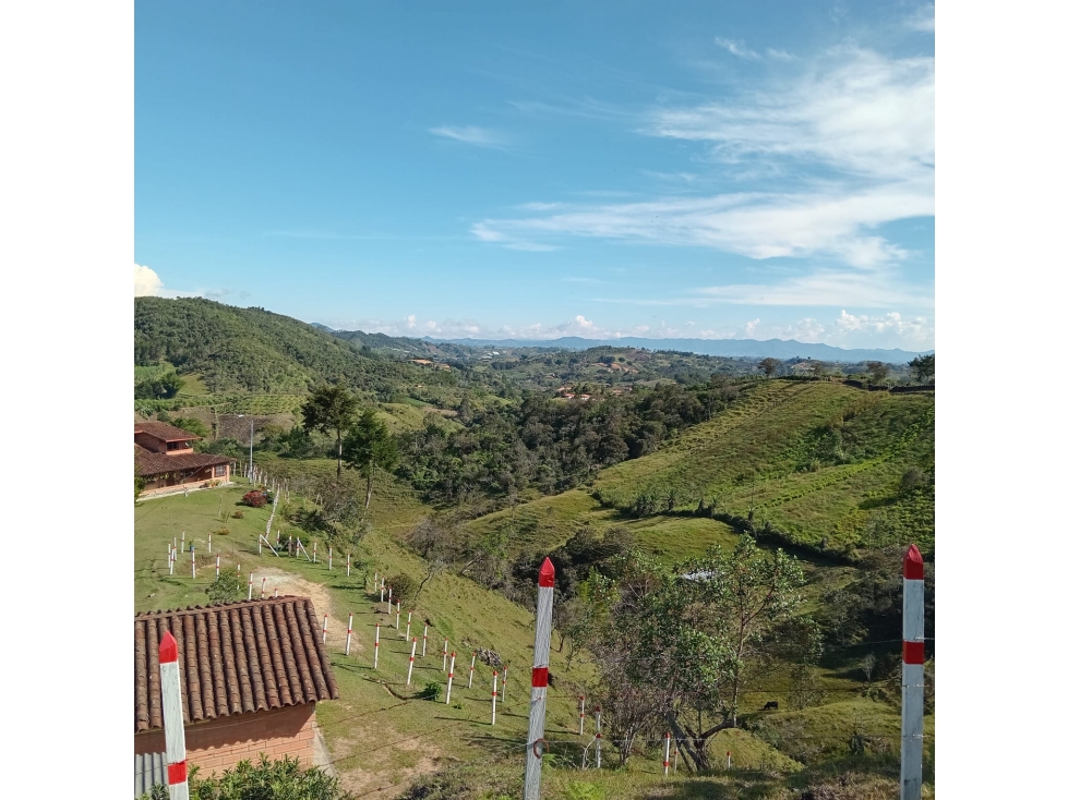VENTA DE FINCA — foto 4