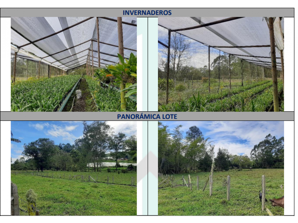 Venta Lote comercial para cultivo de flores vereda chachafruto — foto 6
