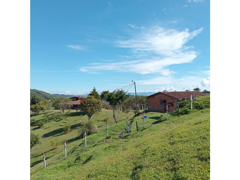 VENTA DE FINCA — foto 5