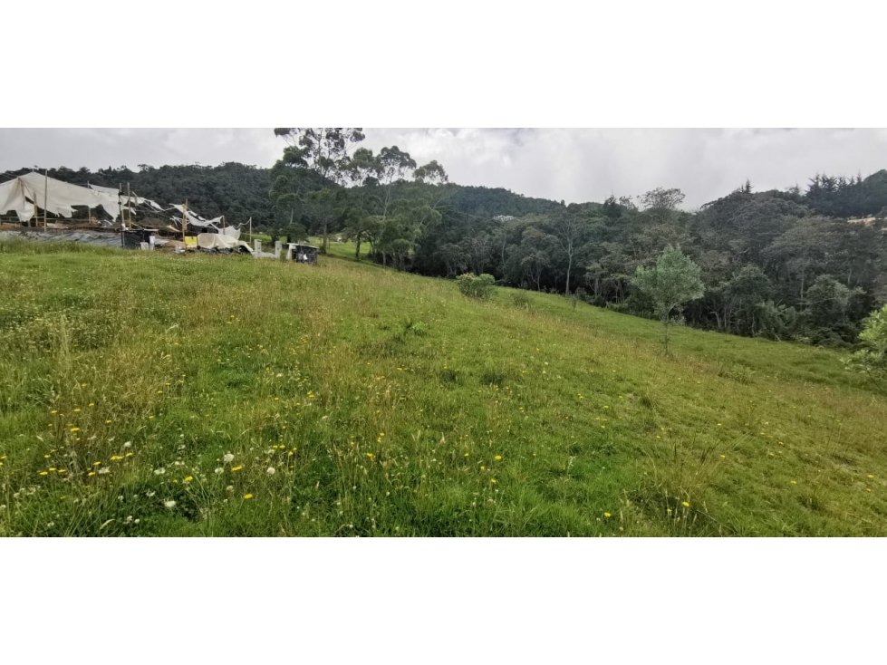 Lote Envigado alto de las palmas vereda la esperanza — foto 4