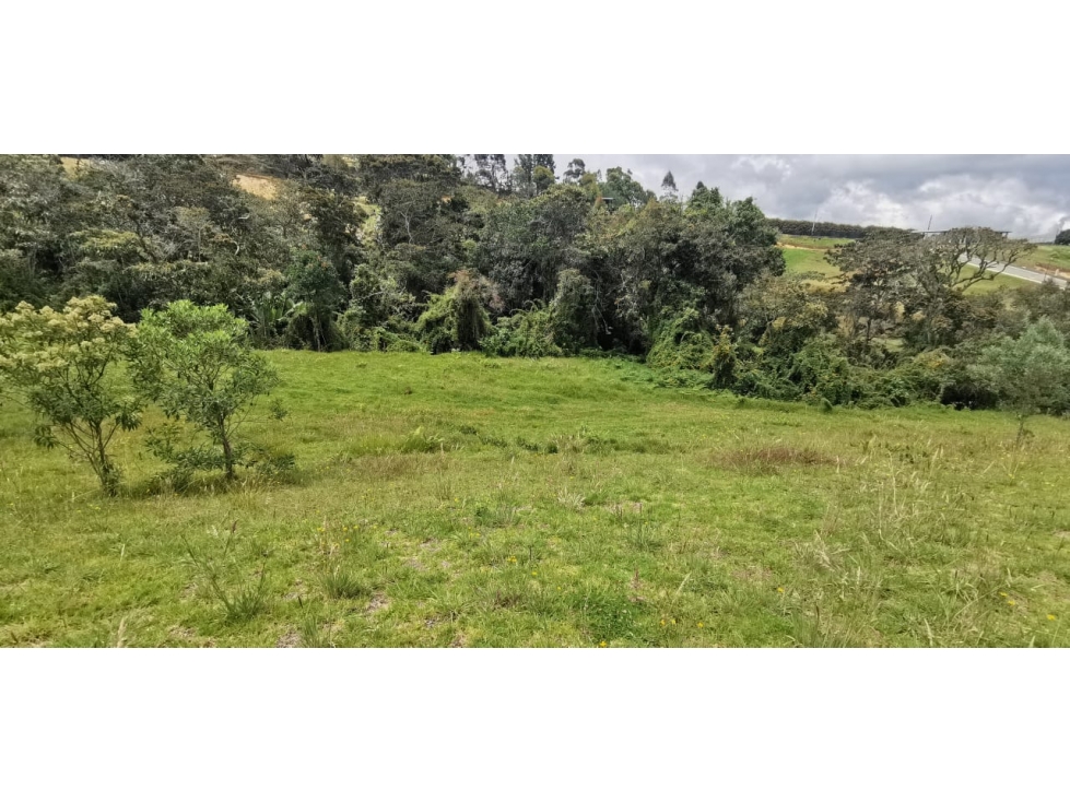 Lote Envigado alto de las palmas vereda la esperanza — foto 5