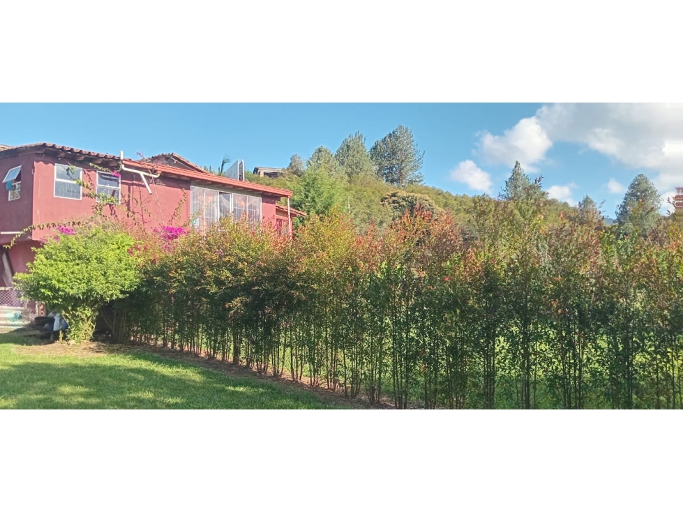 CASA LOTE COMERCIAL — foto 3