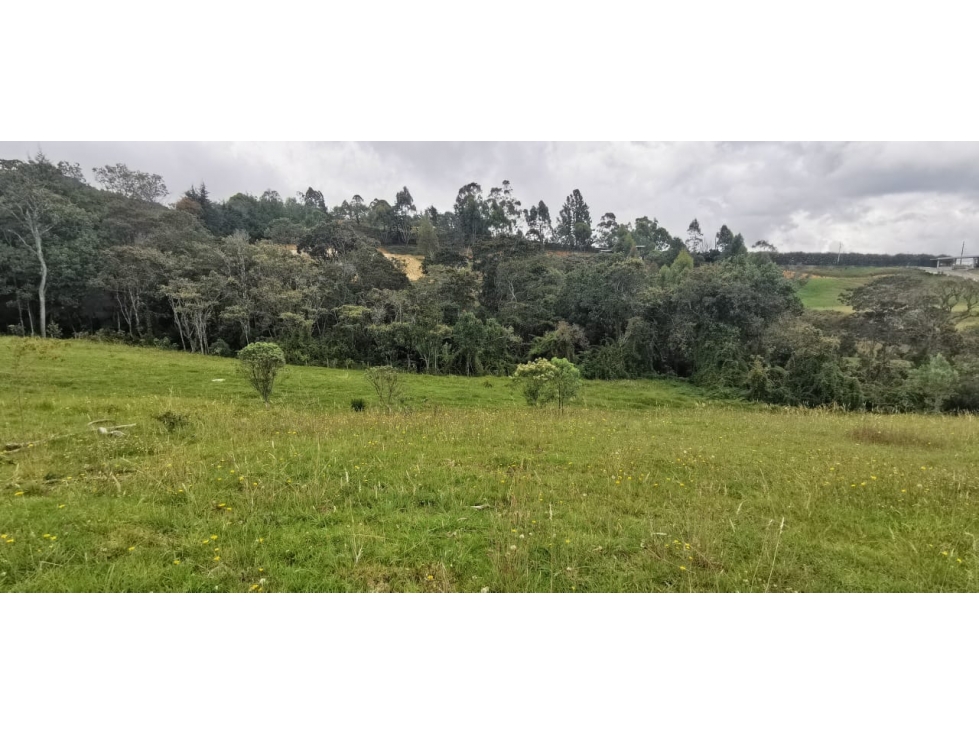 Lote Envigado alto de las palmas vereda la esperanza — foto 6