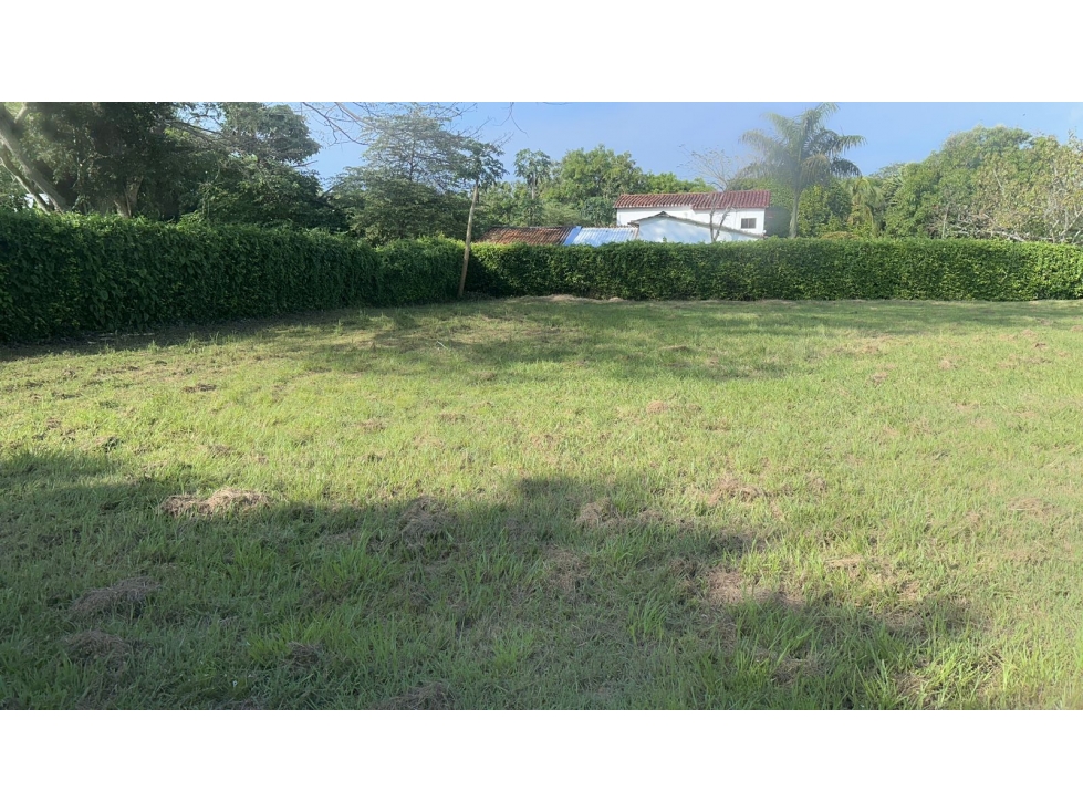 VENTA LOTE CAMPESTRE DORADA CALDAS - 1