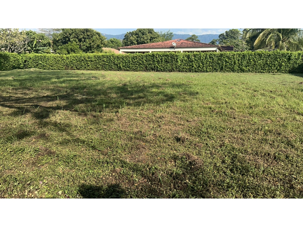 VENTA LOTE CAMPESTRE DORADA CALDAS - 2