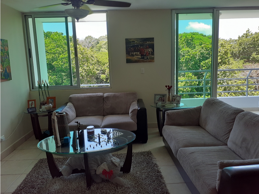 Apartamento en Venta PH Clayton Park I, Clayton