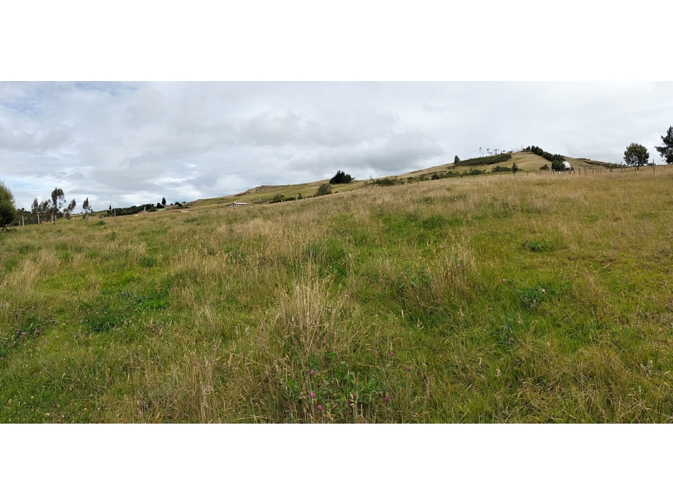 LOTE EN VENTA, SORA BOYACÁ EF - 3