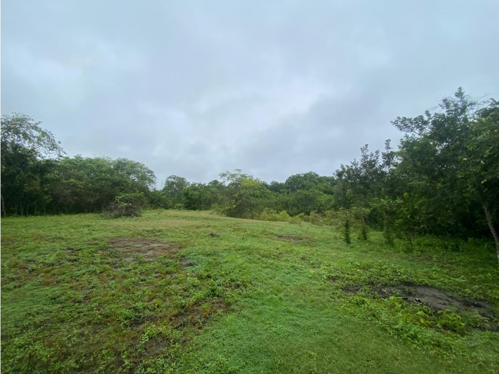 Venta Lote para inversionistas con area de 22.497 m" WB - 6
