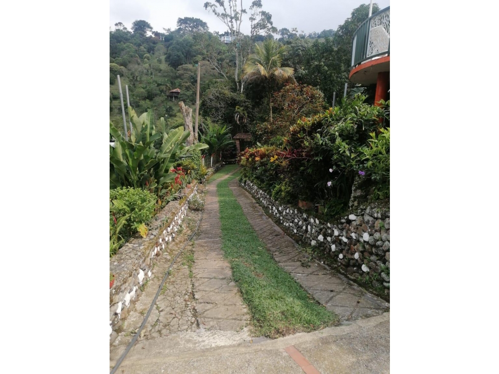 VENTA FINCA VEREDA CURAL LA VEGA CUNDINAMARCA JP — foto 3