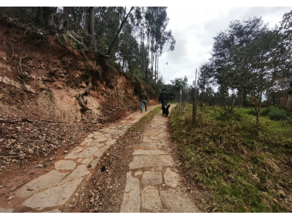 FINCA PRODUCTIVA Y TURÍSTICA EN TIBASOSA 20 HECTÁREAS EF - 6