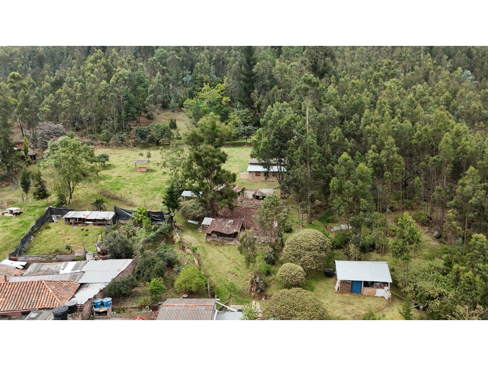 FINCA PRODUCTIVA Y TURÍSTICA EN TIBASOSA 20 HECTÁREAS EF - 3