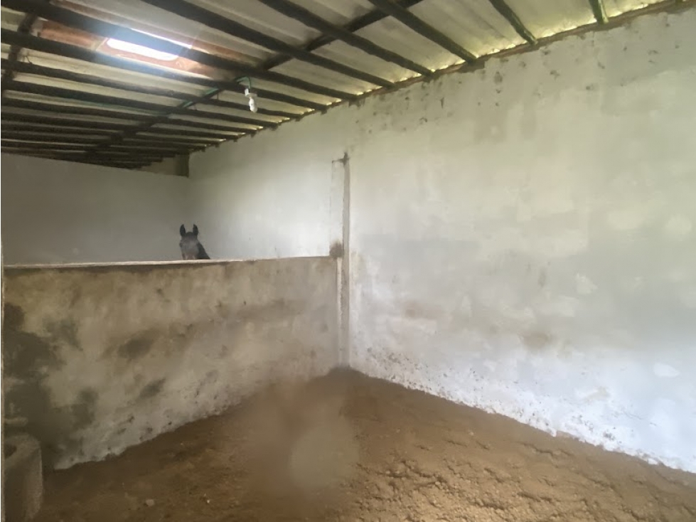 Arriendo Finca Subachoque con pesebreras WB - 4