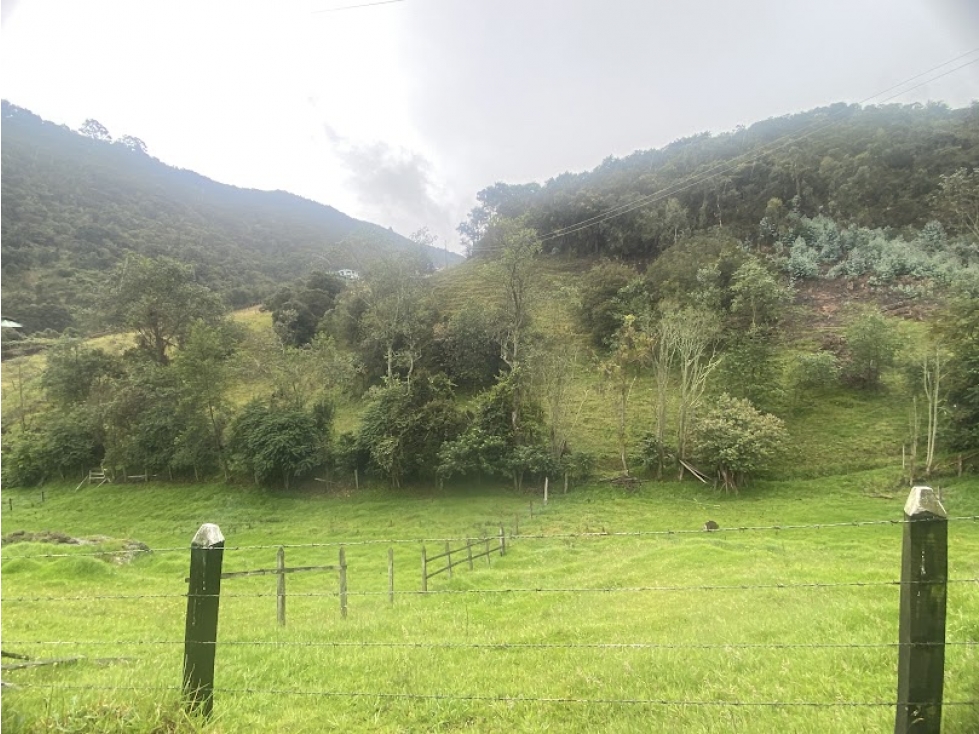 Arriendo Finca Subachoque con pesebreras WB - 5
