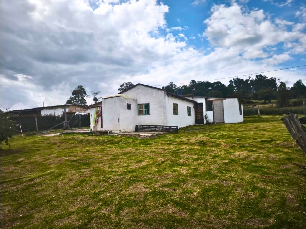 FINCA EN VENTA VRDA LLANO BLANCO VILLA DE LEYVA EF — foto 4