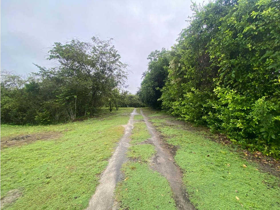 Venta Lote para inversionistas con area de 22.497 m" WB - 1