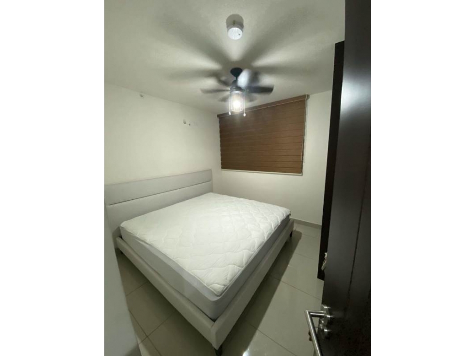 Alquiler de Apartamento Amoblado en Hato Pintado  — foto 3