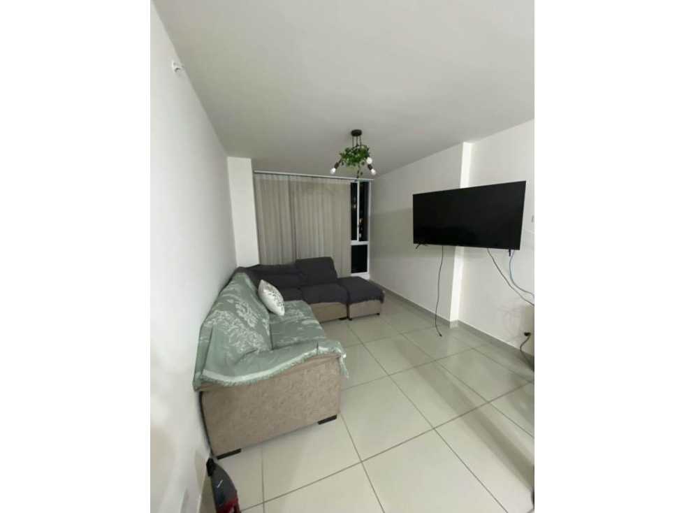 Alquiler de Apartamento Amoblado en Hato Pintado  — foto 4