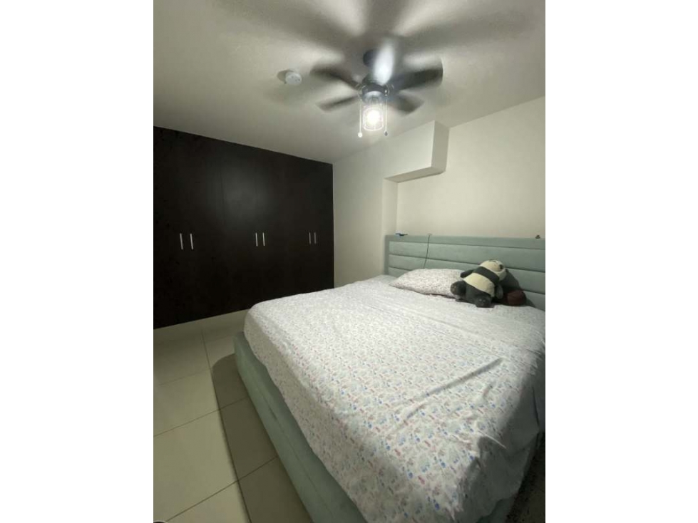 Alquiler de Apartamento Amoblado en Hato Pintado  — foto 6